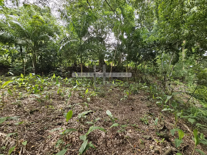 Venta de Terreno en Ancón. 1,223 mt2. Haga una oferta