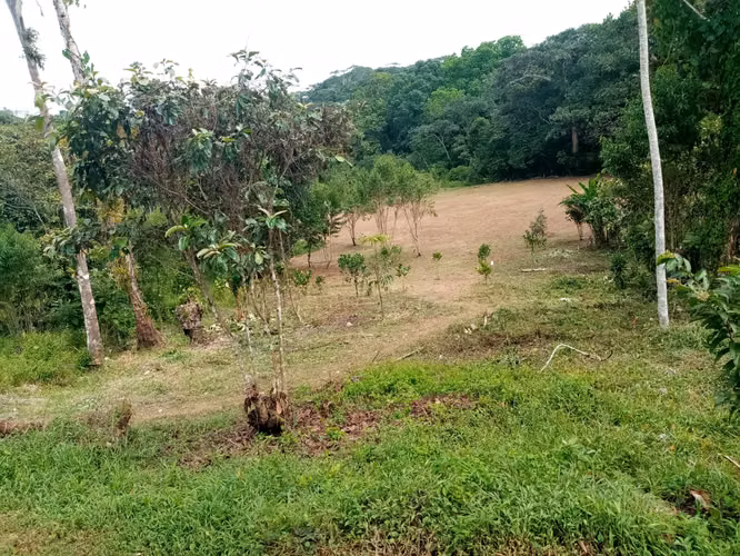 SE VENDEN REMATE 18 HECTÁREAS CHILIBRE FRENTE