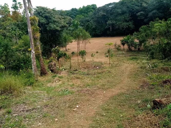 SE VENDEN REMATE 18 HECTÁREAS CHILIBRE FRENTE