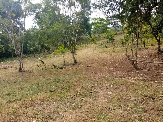 SE VENDEN REMATE 18 HECTÁREAS CHILIBRE FRENTE