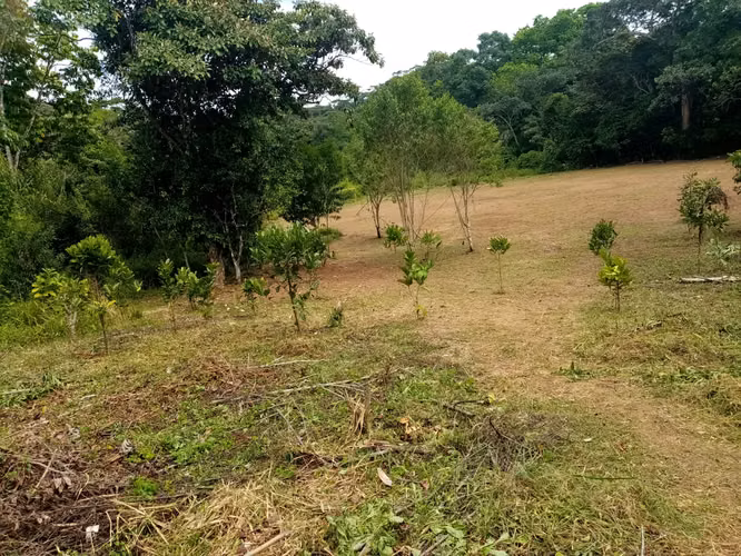 SE VENDEN REMATE 18 HECTÁREAS CHILIBRE FRENTE