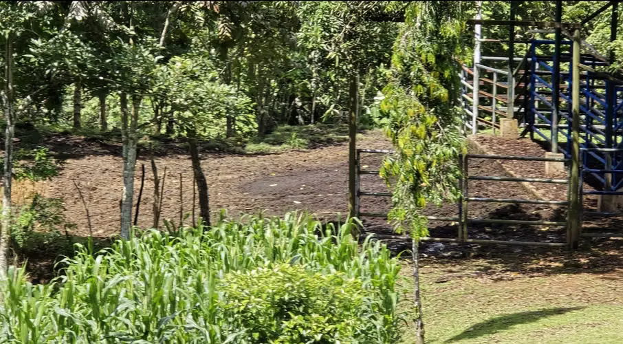 SE VENDEN REMATE 18 HECTÁREAS CHILIBRE FRENTE