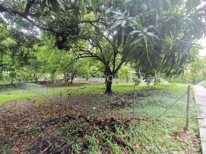 VENTA DE TERRENO EN ALTOS DEL GOLF ESM