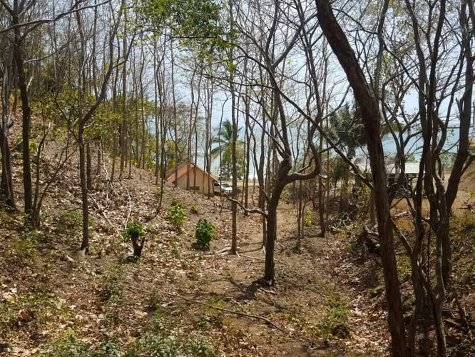 Oceanview Lot in Playa Los Buzos, Tonosí