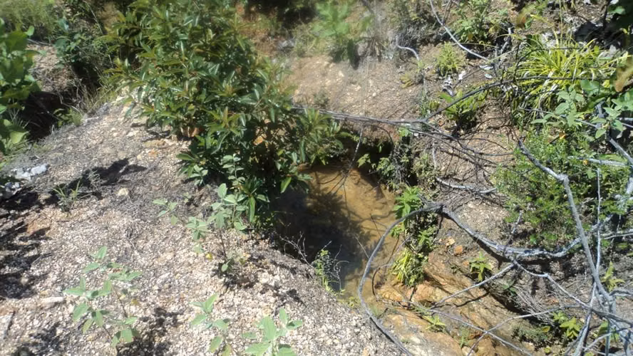 Venta de Finca en Toza de Natá, 19.5 hectáreas