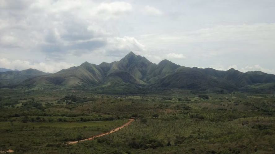 Farm for sale in Toza de Natá, 19.5 hectares