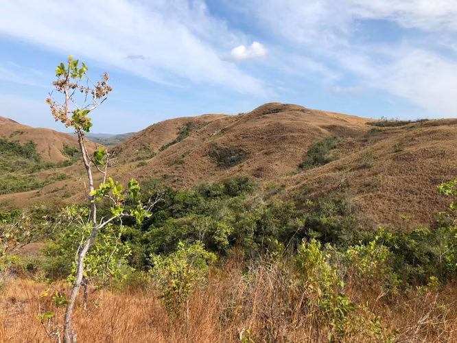Venta de Finca en Toza de Natá, 19.5 hectáreas
