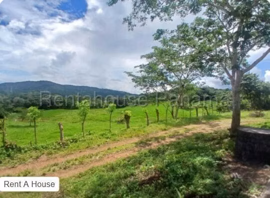 Venta de Terreno en Capira Lote de Terreno NS