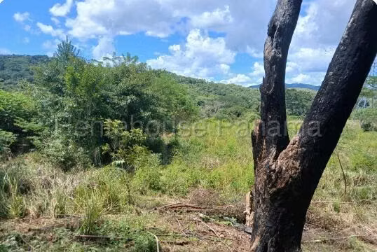 Venta de Terreno en Capira Lote de Terreno NS