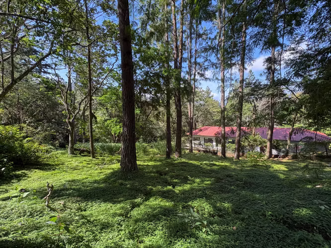 Lote Listo para Construir en Venta en Altos del María