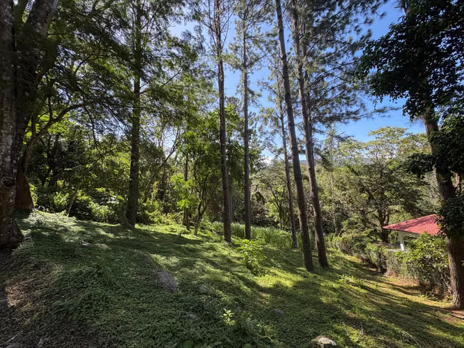 Lote Listo para Construir en Venta en Altos del María