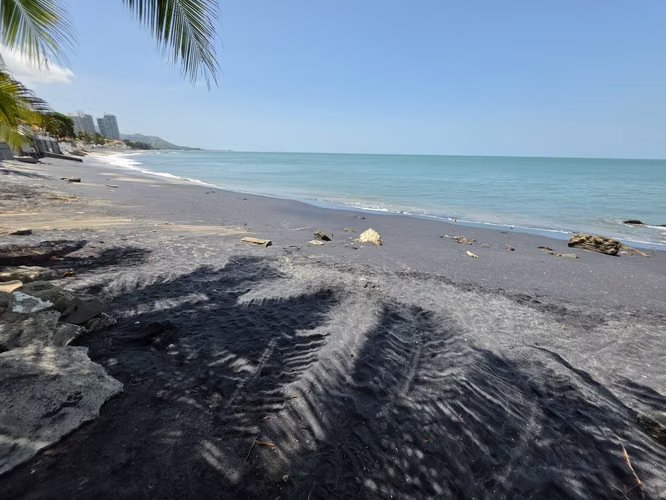 ALQUILO ANEXO. CORONADO. UNA RECAMARA. PLAYA. JACUZZI. GARITA DE SEGURIDAD.