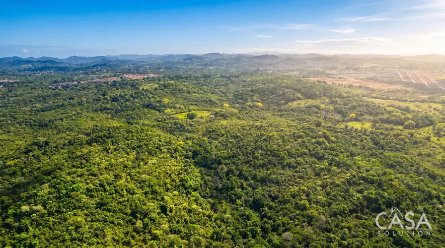 Reducción de Precio! 9.41 Hectáreas con Potencial para Desarrollo Solar de 17 MW en Arraijan - Imagen 8