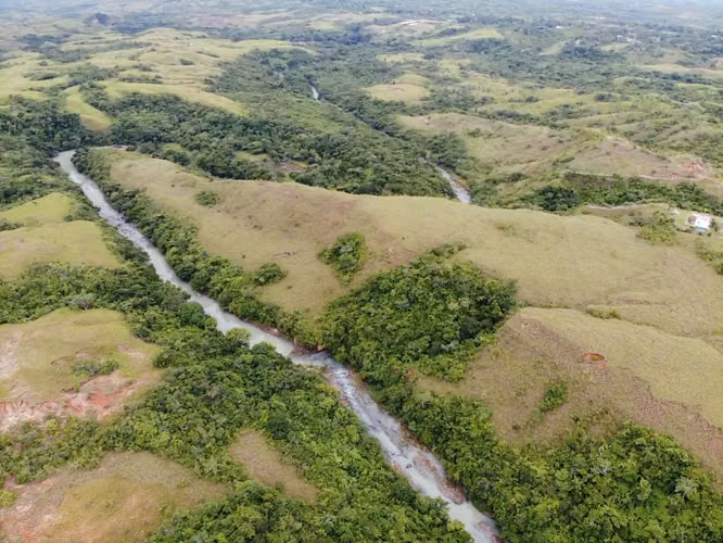 $1,100,000 SE VENDEN 25 HECTÁREAS + 4659 MTS² EN RÍO HATO