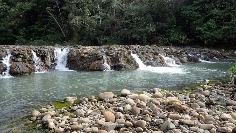 $1,100,000 SE VENDEN 25 HECTÁREAS + 4659 MTS² EN RÍO HATO