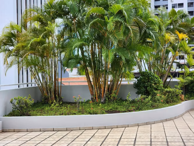 Venta de Apartamento  PH Brisas Marbella - Oportunidad Única Bajo Avalúo