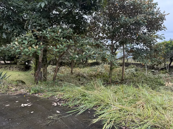 Lote para Construir en Alto Boquete, Panamá
