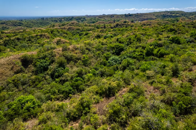 Propiedad de Montaña de 28 Hectáreas Camino a El Valle de Antón