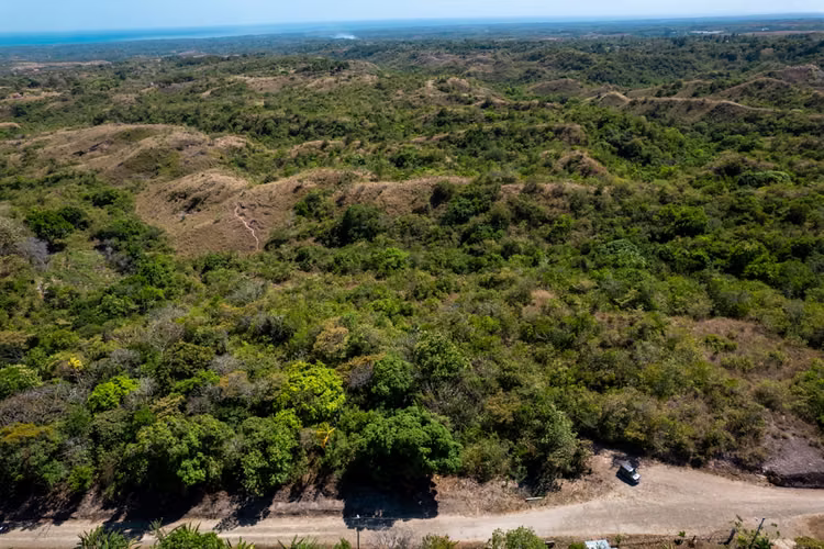 Propiedad de Montaña de 28 Hectáreas Camino a El Valle de Antón