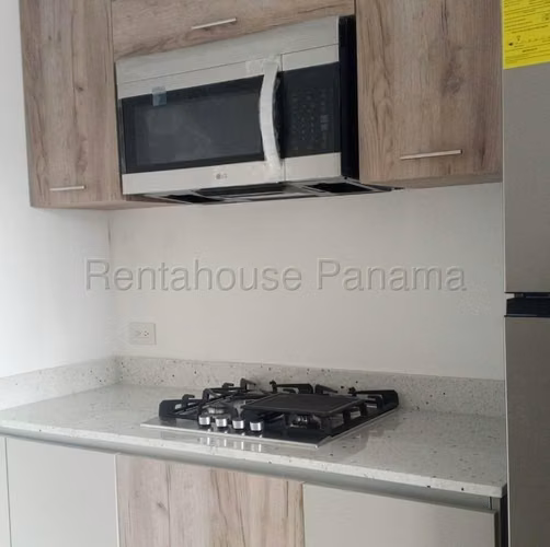 Alquiler de apartamento en Ph Armonia 26MVCH8960
