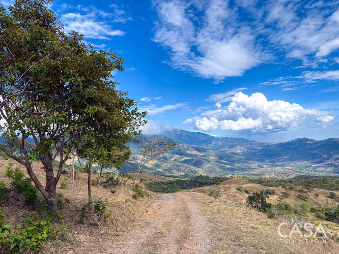 11 Hectáreas De Terreno con vistas Espectaculares En Venta En Caldera Boquete