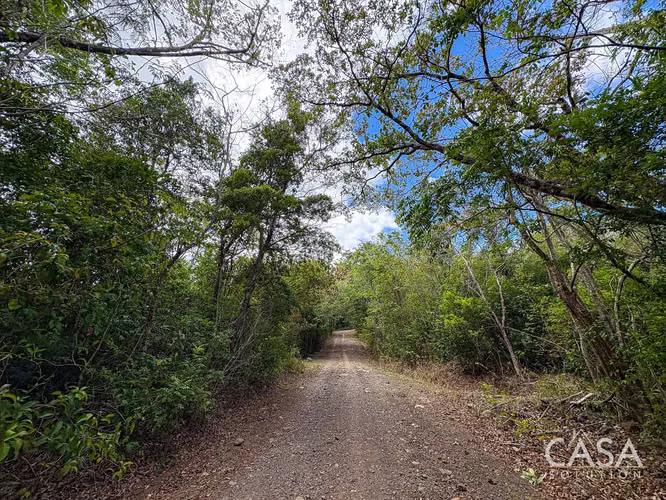 11 Hectáreas De Terreno con vistas Espectaculares En Venta En Caldera Boquete