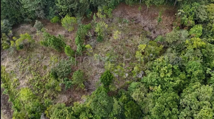 Terreno en Venta en Chicá 26PPM8890