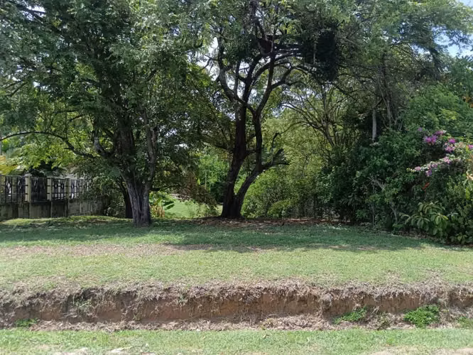 Lote Playa Costa Esmeralda 800m2 $64,000 - Imagen 4
