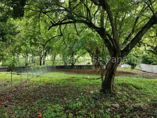 Venta de Terreno en Altos del Golf Altos del Golf ANL