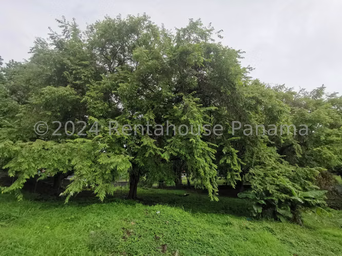 Venta de Terreno en Altos del Golf Altos del Golf ANL