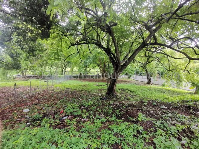 Venta de Terreno en Altos del Golf Altos del Golf ANL