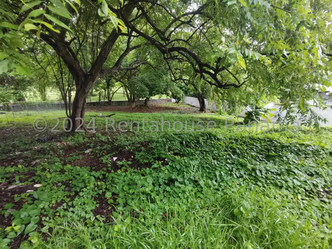 Venta de Terreno en Altos del Golf Altos del Golf ANL
