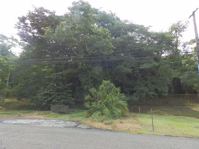 VENDO TERRENO EN LLANOS DE CURUNDU 25CDY2698