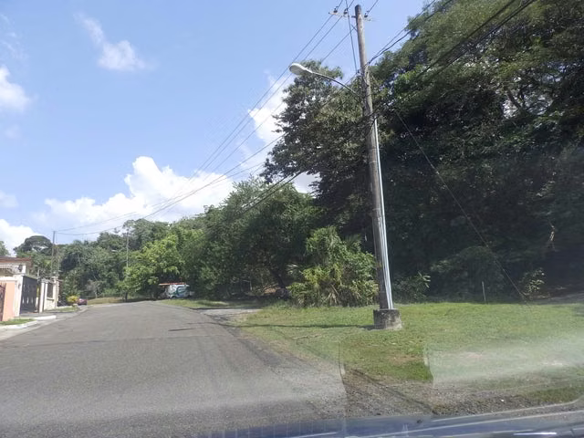VENDO TERRENO EN LLANOS DE CURUNDU 25CDY2698