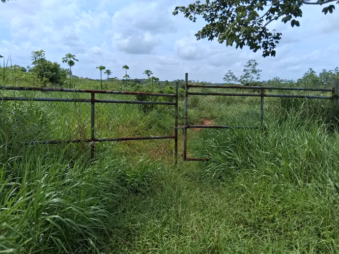 SE VENDE FINCA AGROPECUARIA EN LA COLORADA, PANAMÁ OESTE.