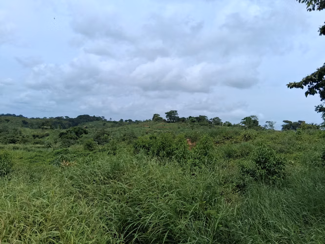 SE VENDE FINCA AGROPECUARIA EN LA COLORADA, PANAMÁ OESTE.