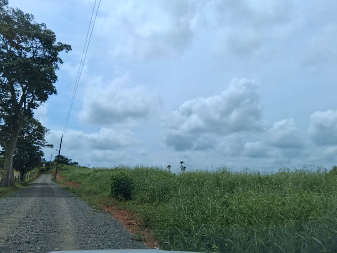 SE VENDE FINCA AGROPECUARIA EN LA COLORADA, PANAMÁ OESTE.