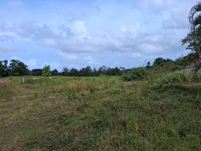 SE VENDE FINCA AGROPECUARIA EN COLORADA, PANAMÁ OESTE.