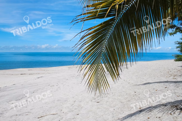 Terreno Frente al Mar en Venta en Río Hato | 18 Hectáreas | US$38/m²