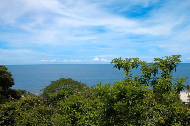 Terreno Frente al Mar en Venta en Río Hato | 18 Hectáreas | US$38/m²