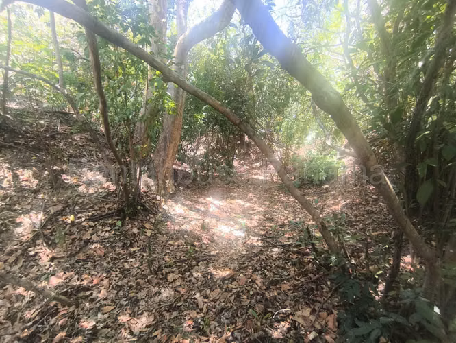 VENTA DE TERRENO EN CHORRERA ABS