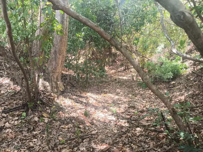 VENTA DE TERRENO EN CHORRERA ABS