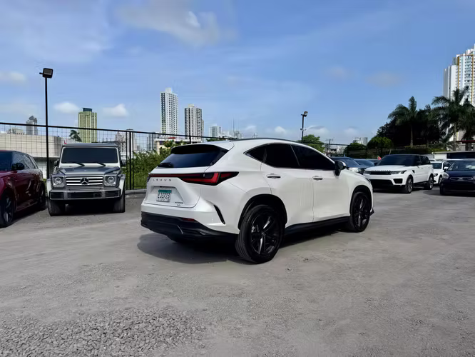 LEXUS NX350H 2024