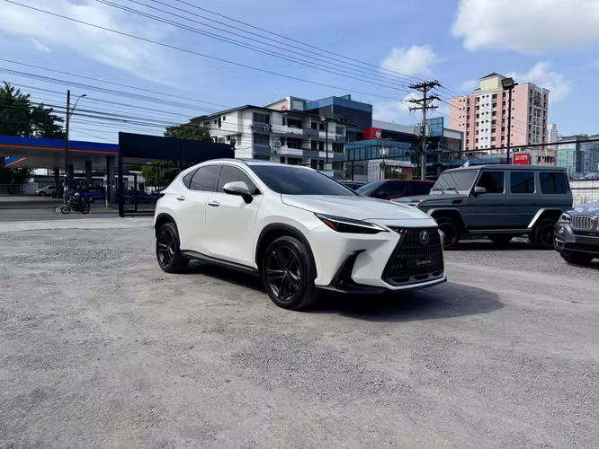 LEXUS NX350H 2024