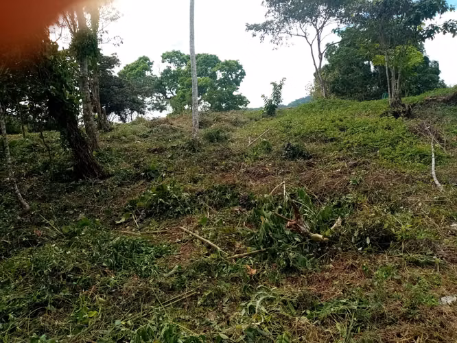 MTRE-510 Se VendE REMATE Finca 6 HECTÁREAS en PENONOME