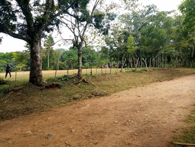 MTRE-510 Se VendE REMATE Finca 6 HECTÁREAS en PENONOME