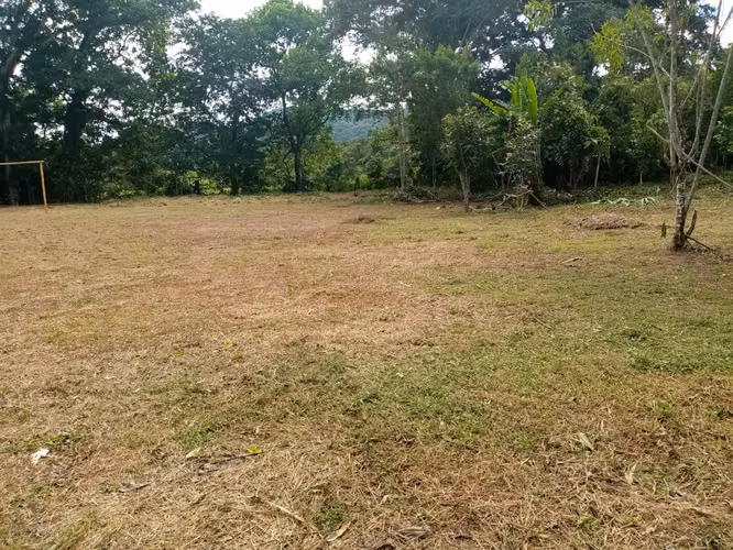 MTRE-510 Se VendE REMATE Finca 6 HECTÁREAS en PENONOME
