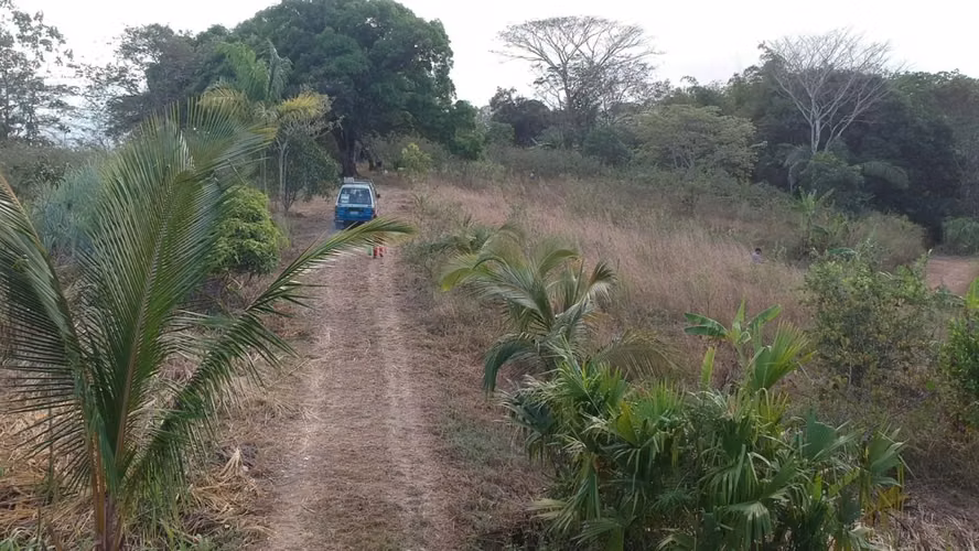 MTRE-510 Se VendE REMATE Finca 6 HECTÁREAS en PENONOME