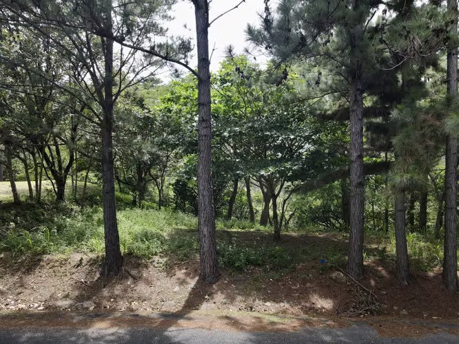 Lote de Montaña Económico en Venta en Altos del María