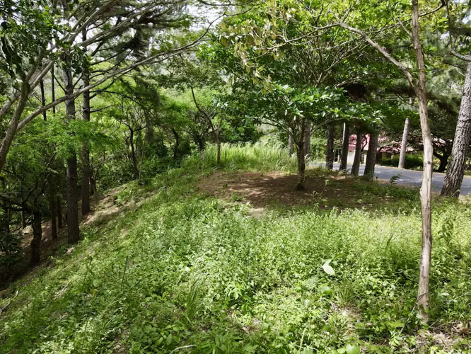 Lote de Montaña Económico en Venta en Altos del María